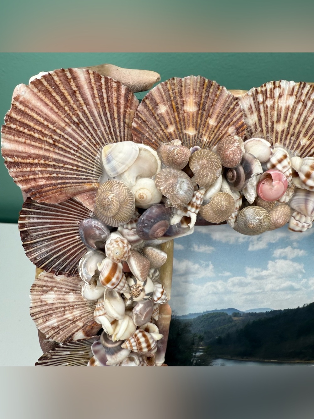 Seashell Shell Photo Picture Frame Natural Coastal Beachy Beach House Decor - Picture 5 of 16